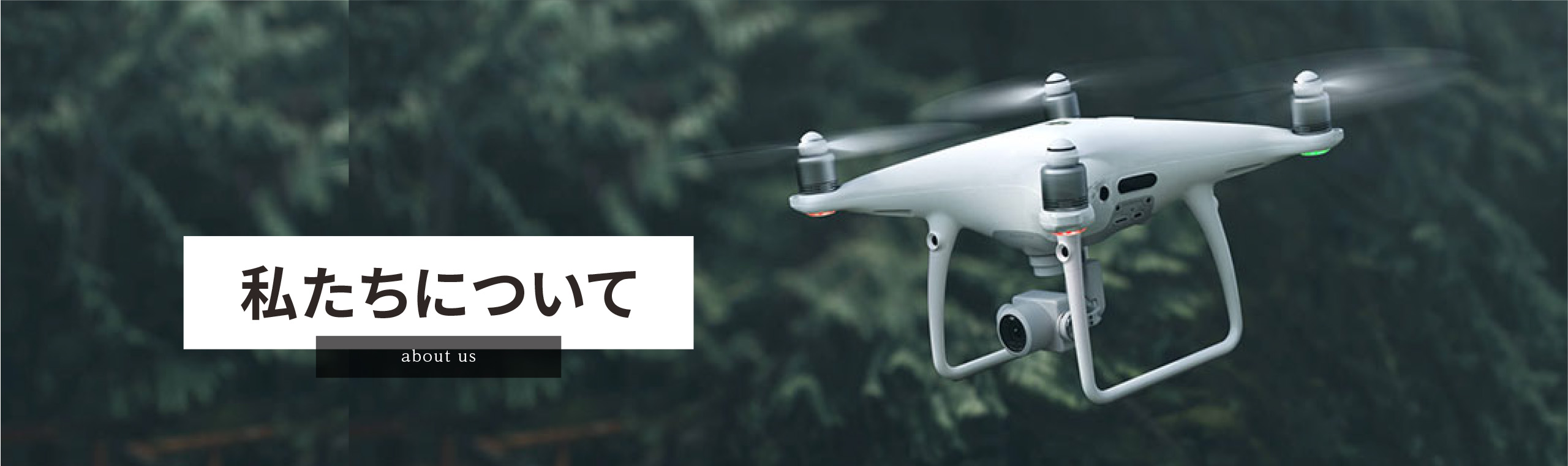 私たちについて