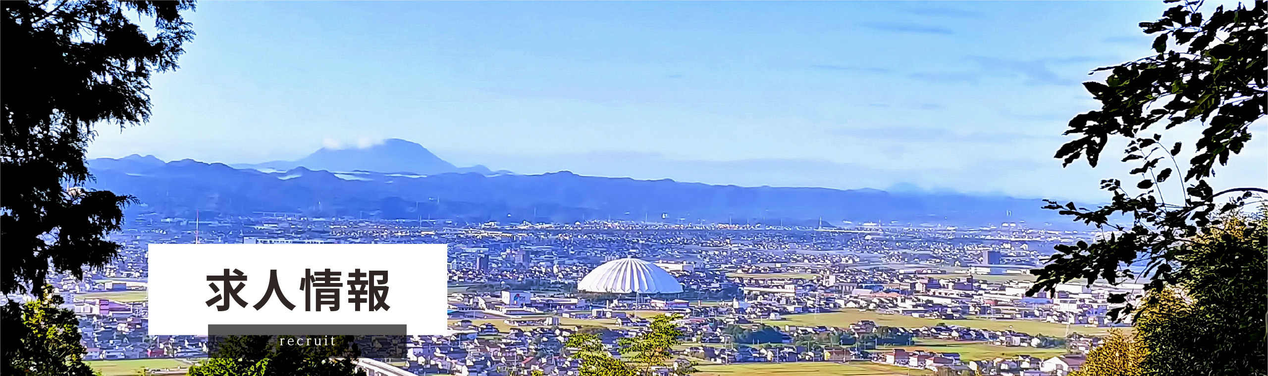 求人情報